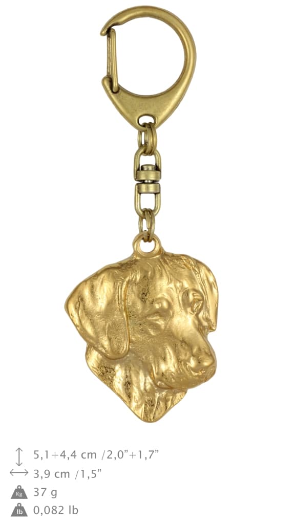 Rhodesian Ridgeback, African Lion Dog - guldpläterad nyckelring med en hund i presentförpackning, handväska dekoration, lyxigt tillbehör från Art-Dog