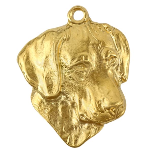 Rhodesian Ridgeback, African Lion Dog - guldpläterad nyckelring med en hund i presentförpackning, handväska dekoration, lyxigt tillbehör från Art-Dog