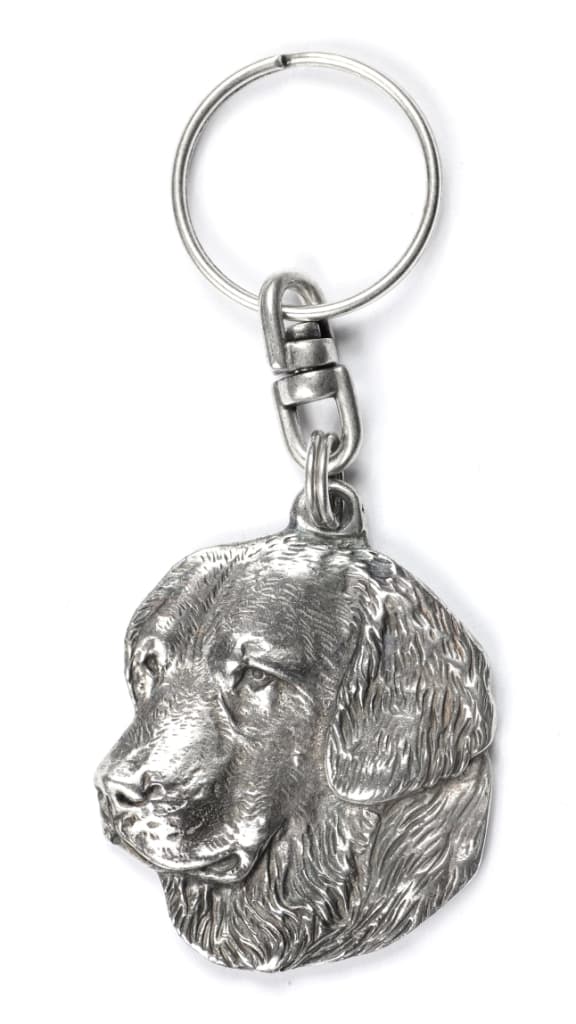 Golden Retriever - silverpläterad nyckelring med en hund i en dekorativ låda, handväska dekoration, ryggsäckshänge från Art-Dog