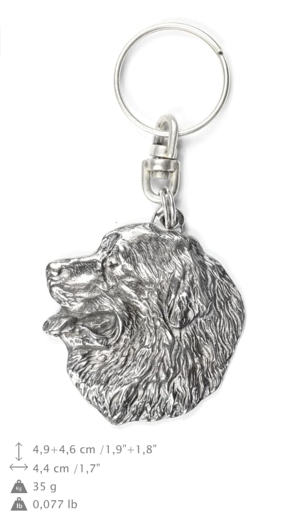 Berner Sennenhund, Berner Sennenhund I - silverpläterad nyckelring med en hund i en dekorativ låda, handväska dekoration, ryggsäckshänge från Art-Dog