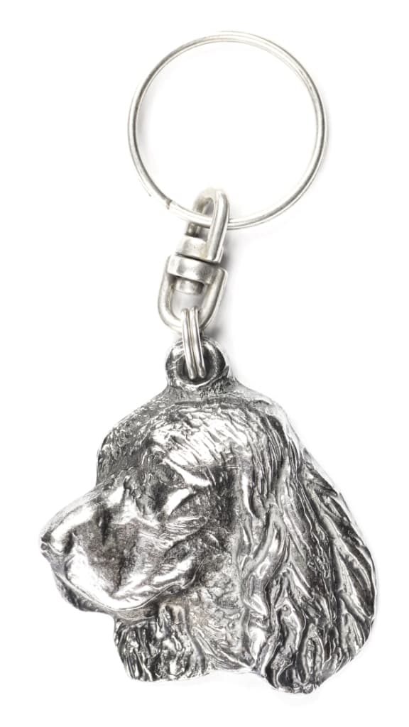 Welsh Springer Spaniel - silverpläterad nyckelring med en hund i en dekorativ låda, handväska dekoration, ryggsäckshänge från Art-Dog