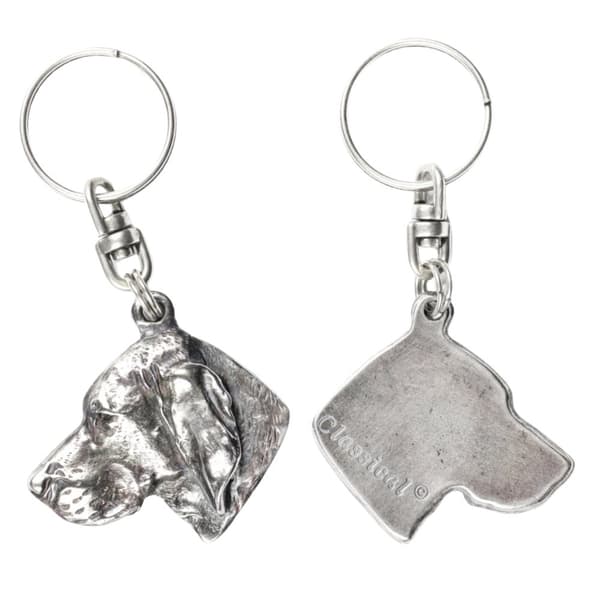 Vizsla, ungersk Vizsla - silverpläterad nyckelring med en hund i en dekorativ låda, handväska dekoration, ryggsäckshänge från Art-Dog