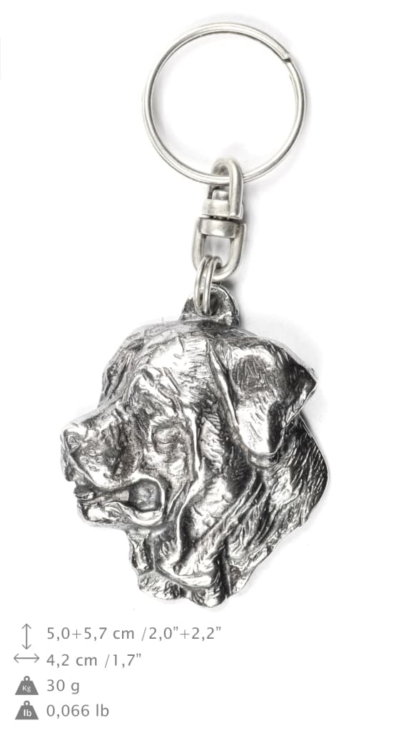 Tosa Inu, Tosa-inu, Japanese Mastiff - silverpläterad nyckelring med en hund i en dekorativ låda, handväska dekoration, ryggsäckshänge från Art-Dog