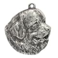 Miniatyrbild 6 av 11: Newfoundland, Newfoundland, Wodołaz - silverpläterad nyckelring med en hund i presentförpackning, handväska dekoration, ryggsäckshänge från Art-Dog
