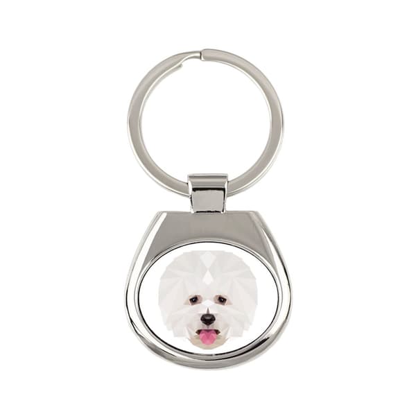 Bichon Frise, Tenerife Dog - geometrisk nøglering med et foto og inskriptionen Art-Dog
