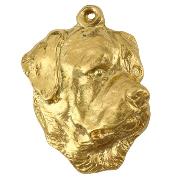 Rottweiler I - nyckelring och halsband med en hund i en låda, högkvalitativ guldpläterad produkt, Art-Dog varumärke