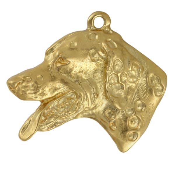 Dalmatian, Dalmatian Pointer - nyckelring och halsband med en hund i en låda, högkvalitativ guldpläterad produkt, Art-Dog varumärke