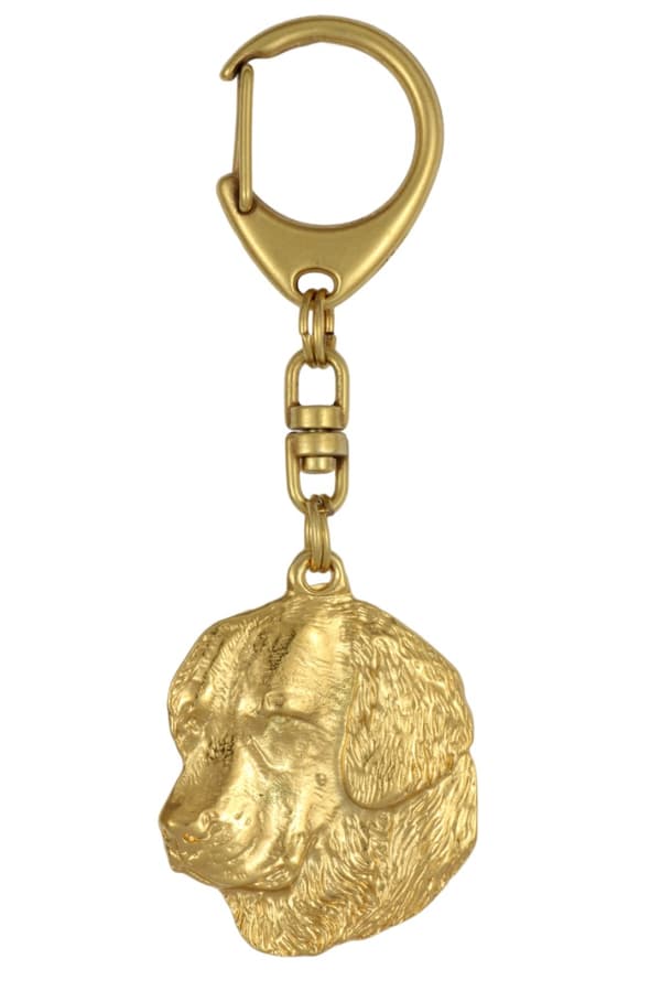 Golden Retriever - nyckelring och halsband med en hund i en låda, högkvalitativ guldpläterad produkt, Art-Dog varumärke