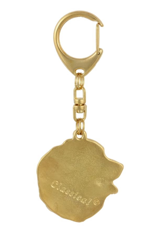 Berner Sennenhund, Berner Sennenhund I - nyckelring och halsband med hund i låda, högkvalitativ guldpläterad produkt, Art-Dog varumärke