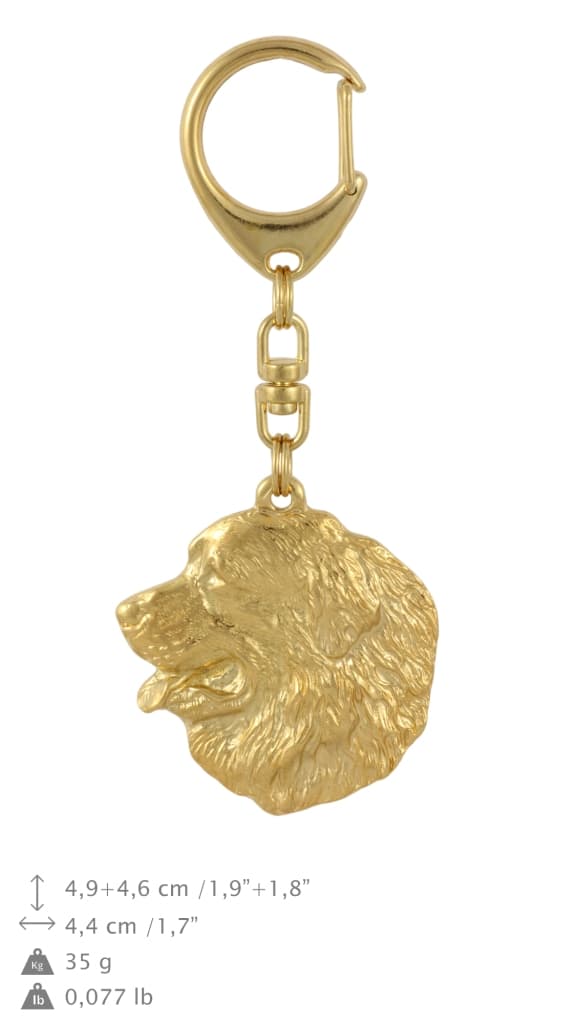 Berner Sennenhund, Berner Sennenhund I - nyckelring och halsband med hund i låda, högkvalitativ guldpläterad produkt, Art-Dog varumärke