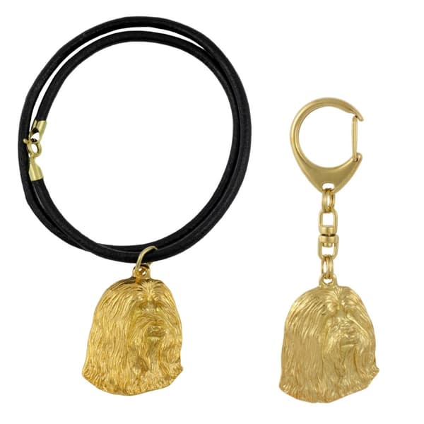 Bearded Collie, Highland Collie - nyckelring och halsband med en hund i en låda, högkvalitativ guldpläterad produkt, Art-Dog varumärke