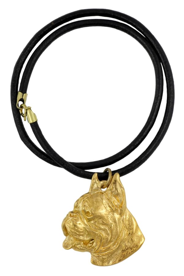 Boxer, Boxer - nyckelring och halsband med en hund i en låda, högkvalitativ guldpläterad produkt, Art-Dog varumärke