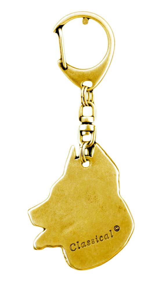 Beauceron French Shepherd - nyckelring och halsband med en hund i en låda, högkvalitativ guldpläterad produkt, Art-Dog varumärke