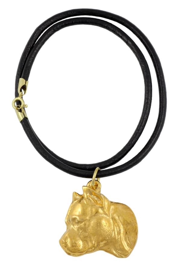 Stålhårig tax II - nyckelring och halsband med en hund i låda, högkvalitativ guldpläterad produkt, Art-Dog varumärke
