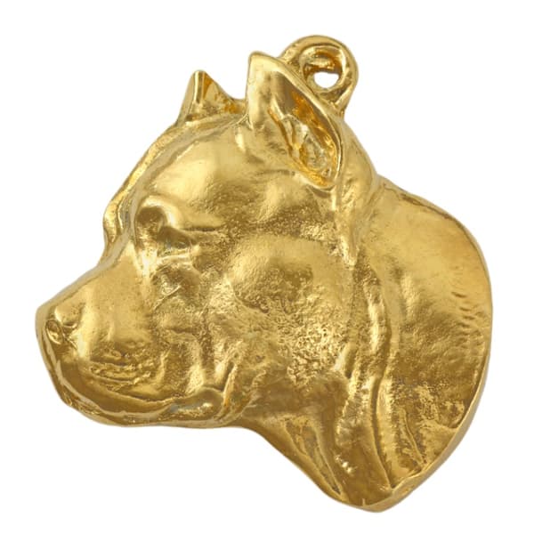 Stålhårig tax II - nyckelring och halsband med en hund i låda, högkvalitativ guldpläterad produkt, Art-Dog varumärke