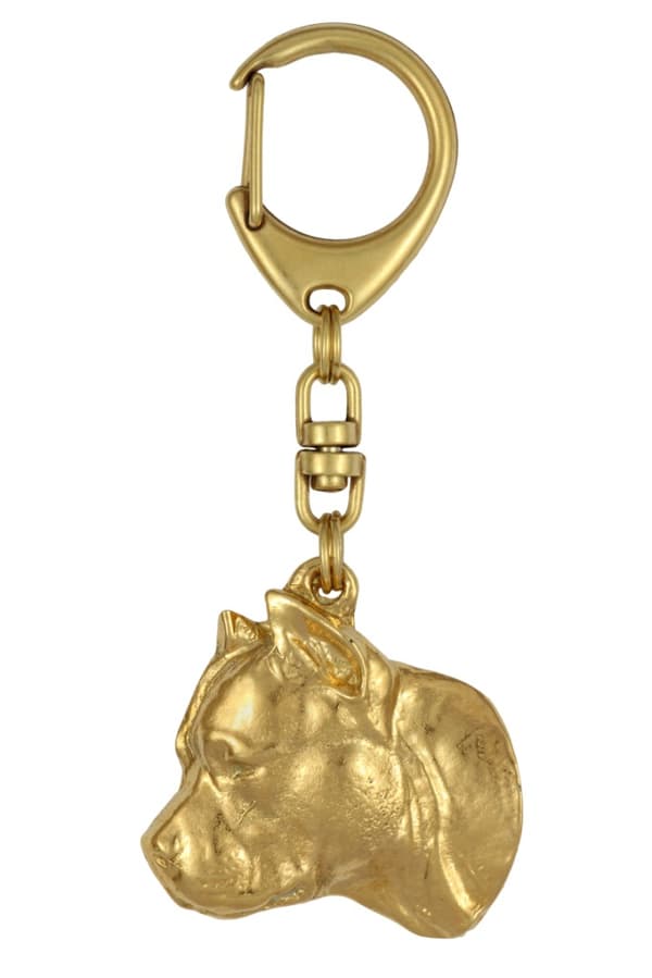 Stålhårig tax II - nyckelring och halsband med en hund i låda, högkvalitativ guldpläterad produkt, Art-Dog varumärke