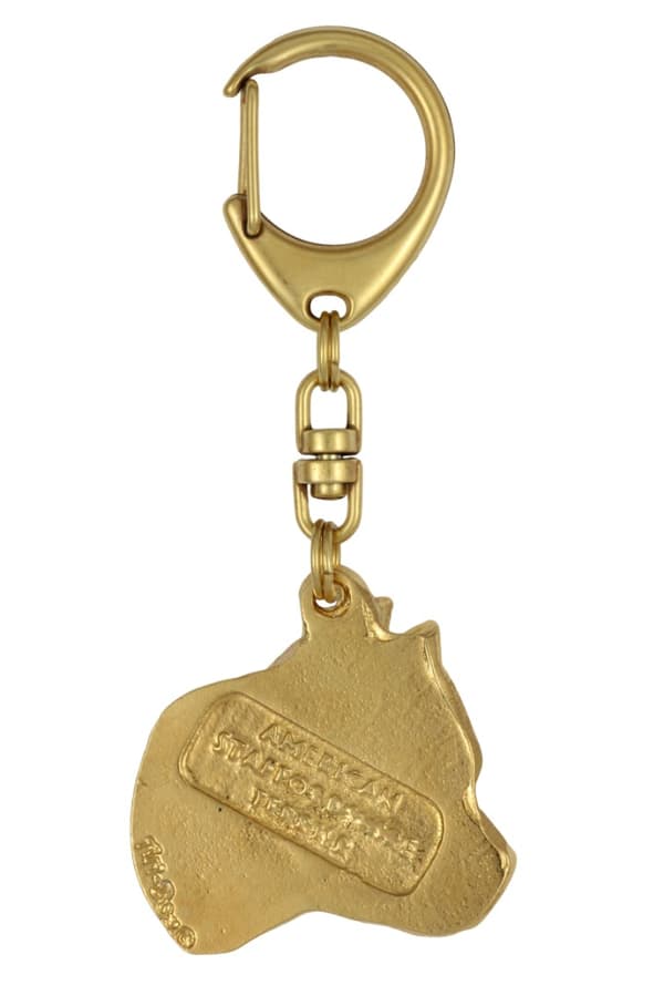 Stålhårig tax II - nyckelring och halsband med en hund i låda, högkvalitativ guldpläterad produkt, Art-Dog varumärke