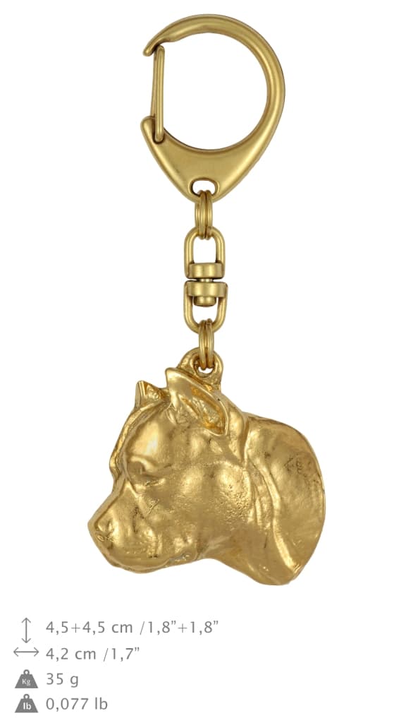 Stålhårig tax II - nyckelring och halsband med en hund i låda, högkvalitativ guldpläterad produkt, Art-Dog varumärke