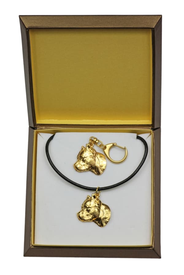 Stålhårig tax II - nyckelring och halsband med en hund i låda, högkvalitativ guldpläterad produkt, Art-Dog varumärke
