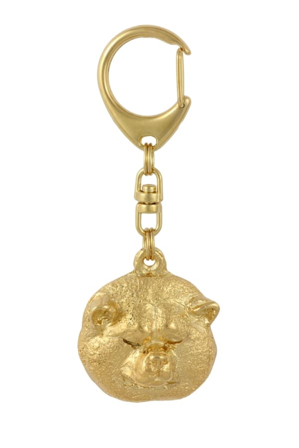Akita, Akita Inu - nyckelring och halsband med en hund i en låda, högkvalitativ guldpläterad produkt, Art-Dog varumärke