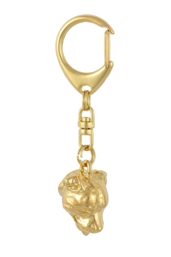 Staffordshire Bull Terrier, Staffik, Staffi - nyckelring och halsband med en hund i låda, högkvalitativ guldpläterad produkt, Art-Dog varumärke