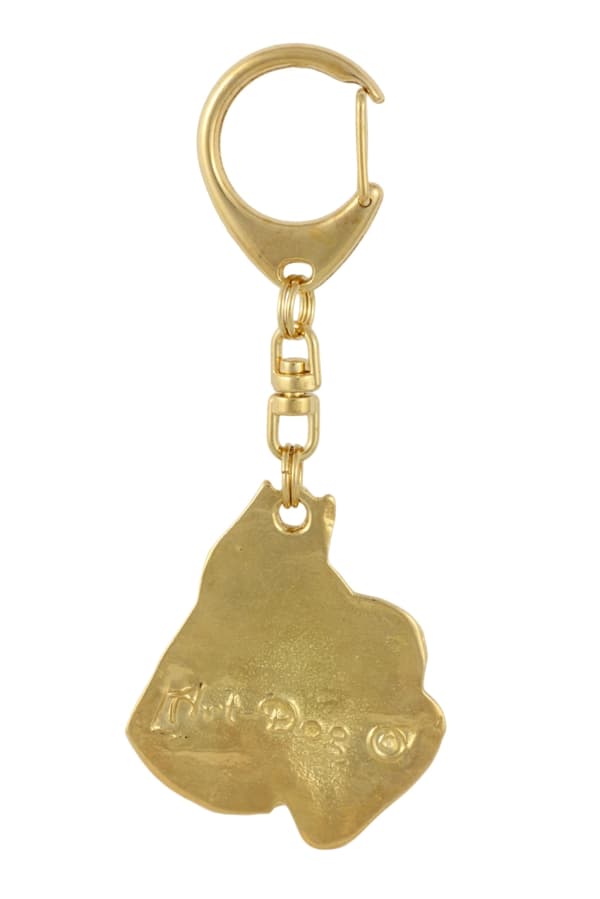 Schnauzer, Schnauzer II - nyckelring och halsband med en hund i en låda, högkvalitativ guldpläterad produkt, Art-Dog varumärke