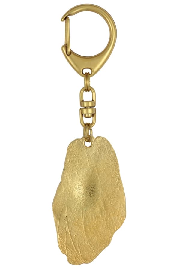 Fransk Shepherd Briard, Berger de Brie I - nyckelring och halsband med en hund i en låda, högkvalitativ guldpläterad produkt, Art-Dog varumärke