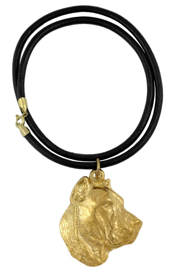Presa Canario, Grand Danois - nyckelring och halsband med en hund i en låda, högkvalitativ guldpläterad produkt, Art-Dog varumärke
