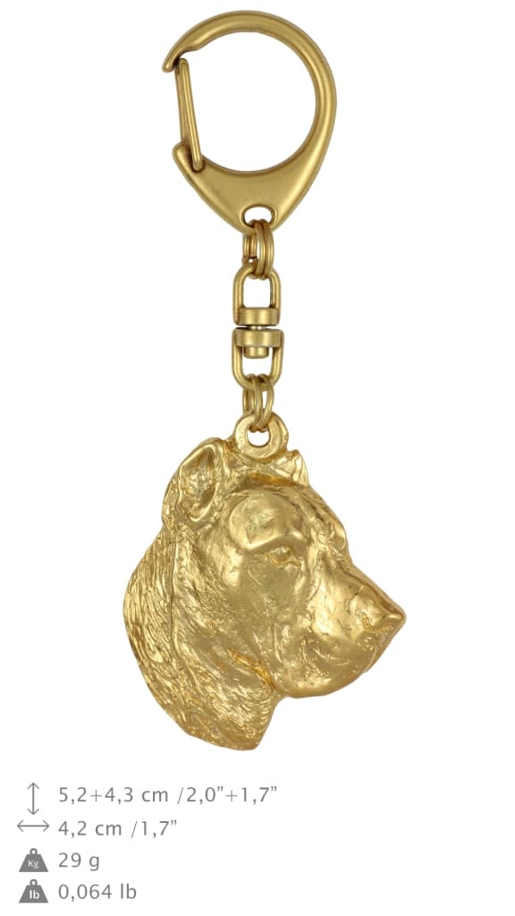 Presa Canario, Grand Danois - nyckelring och halsband med en hund i en låda, högkvalitativ guldpläterad produkt, Art-Dog varumärke