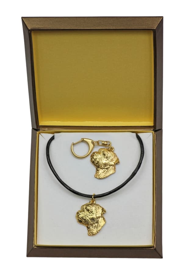 Border Terrier - nyckelring och halsband med en hund i en låda, högkvalitativ guldpläterad produkt, Art-Dog varumärke