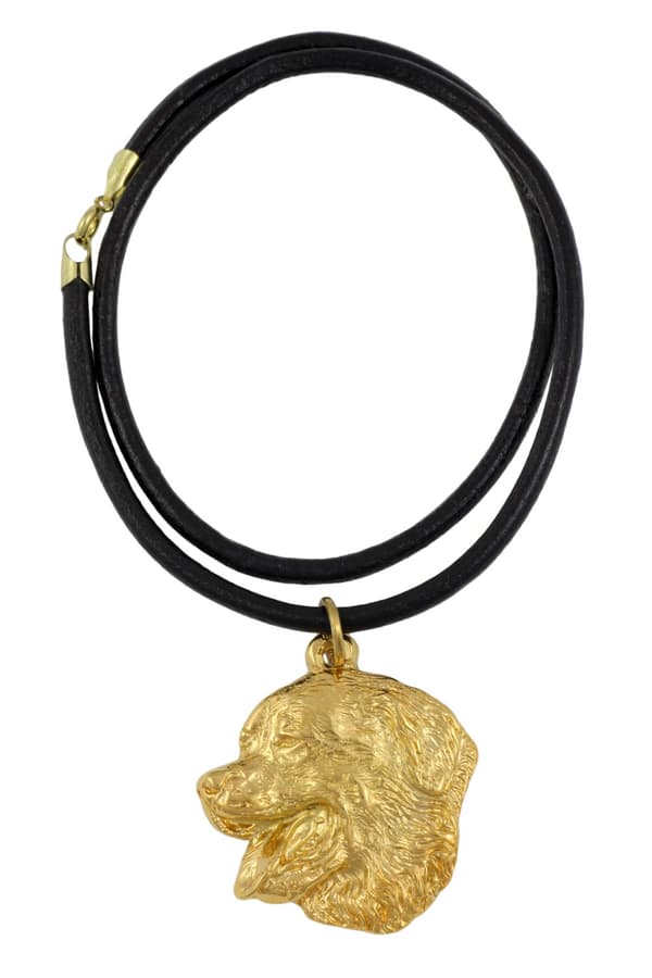 Berner Sennenhund, Berner Sennenhund - nyckelring och halsband med hund i låda, högkvalitativ guldpläterad produkt, Art-Dog varumärke