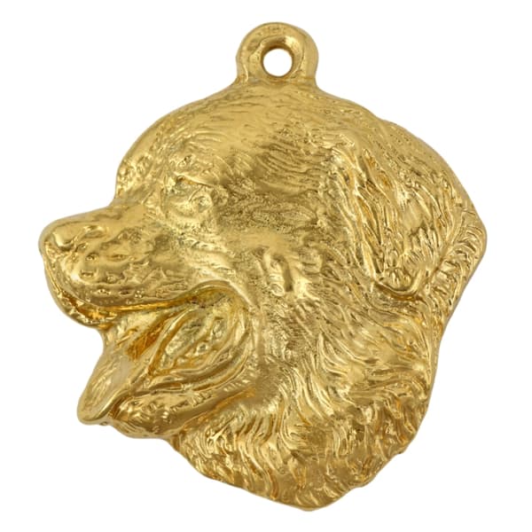 Berner Sennenhund, Berner Sennenhund - nyckelring och halsband med hund i låda, högkvalitativ guldpläterad produkt, Art-Dog varumärke