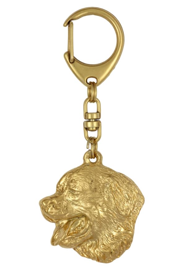Berner Sennenhund, Berner Sennenhund - nyckelring och halsband med hund i låda, högkvalitativ guldpläterad produkt, Art-Dog varumärke