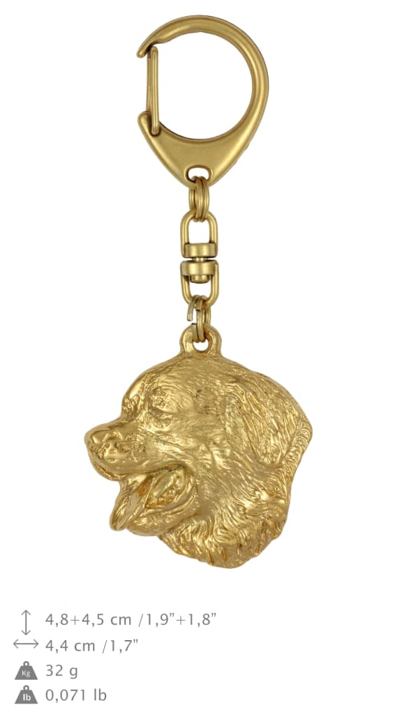 Berner Sennenhund, Berner Sennenhund - nyckelring och halsband med hund i låda, högkvalitativ guldpläterad produkt, Art-Dog varumärke