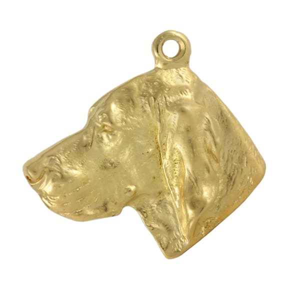 Vizsla, ungerska Vizsla - nyckelring och halsband med en hund i en låda, högkvalitativ guldpläterad produkt, Art-Dog varumärke