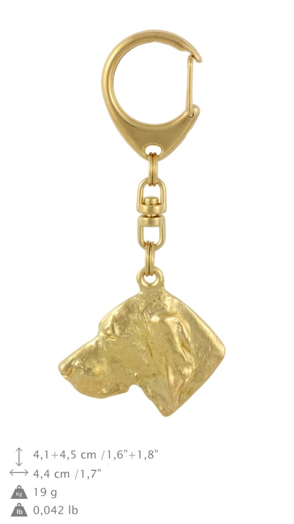 Vizsla, ungerska Vizsla - nyckelring och halsband med en hund i en låda, högkvalitativ guldpläterad produkt, Art-Dog varumärke