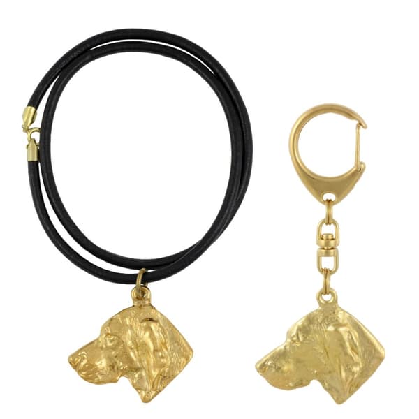 Vizsla, ungerska Vizsla - nyckelring och halsband med en hund i en låda, högkvalitativ guldpläterad produkt, Art-Dog varumärke