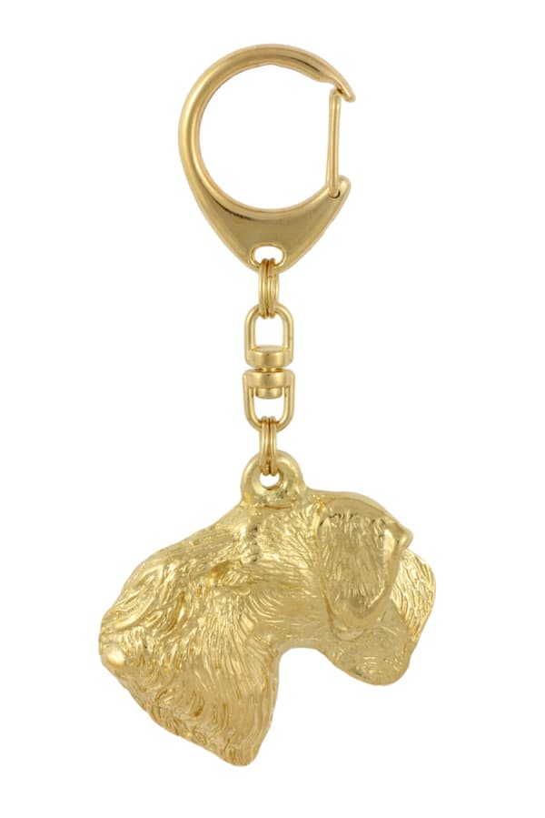 Czech Terrier, Cesky Terrier - nyckelring och halsband med en hund i en låda, högkvalitativ guldpläterad produkt, Art-Dog varumärke