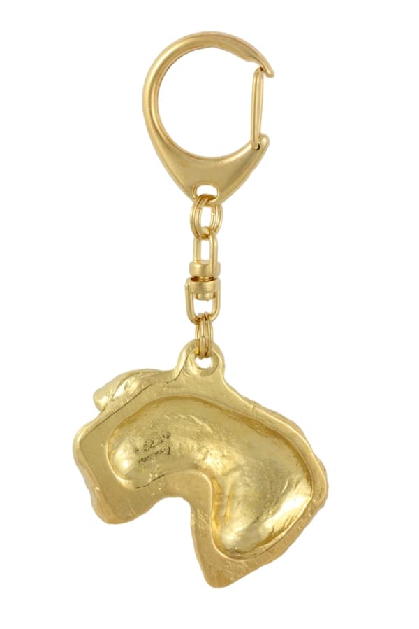 Czech Terrier, Cesky Terrier - nyckelring och halsband med en hund i en låda, högkvalitativ guldpläterad produkt, Art-Dog varumärke