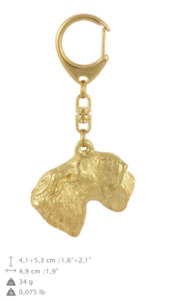 Czech Terrier, Cesky Terrier - nyckelring och halsband med en hund i en låda, högkvalitativ guldpläterad produkt, Art-Dog varumärke
