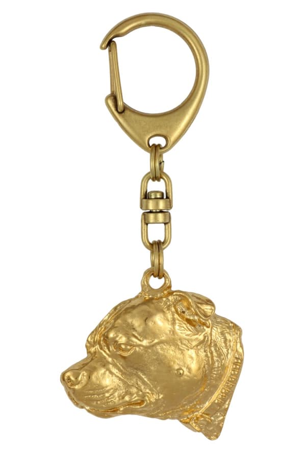 Staffordshire Bull Terrier, Staffik, Staffi III - nyckelring och halsband med en hund i låda, högkvalitativ guldpläterad produkt, Art-Dog varumärke
