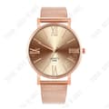 Miniatyrbild 4 av 4: TD® Quartz Armbandsur Casual and Business Series Mesh Bältesklocka Herrpresenter 43544505