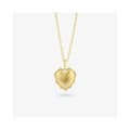 Miniatyrbild 4 av 4: Damhalsband Radiant RY000058 50 cm
