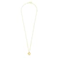 Miniatyrbild 2 av 4: Damhalsband Radiant RY000058 50 cm