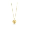 Miniatyrbild 1 av 4: Damhalsband Radiant RY000058 50 cm