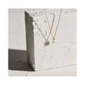 Miniatyrbild 3 av 4: Damhalsband Radiant RY000065 50 cm