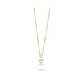 Miniatyrbild 1 av 4: Damhalsband Radiant RY000065 50 cm