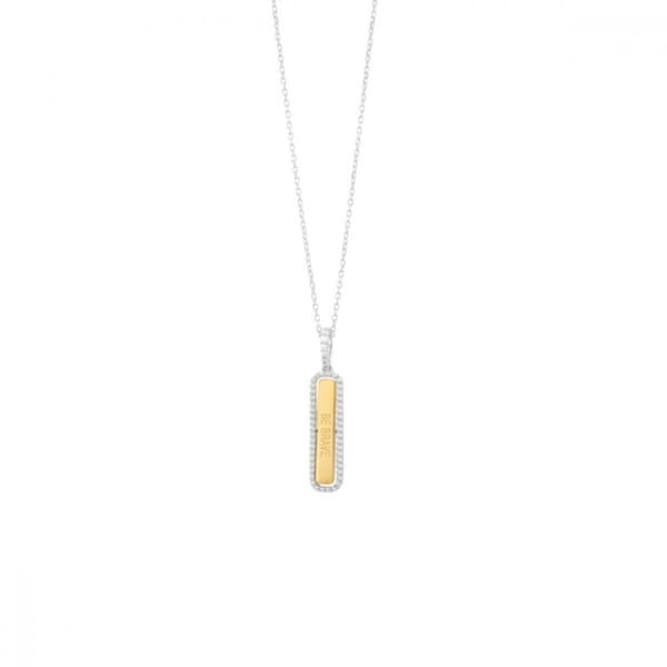 Damhalsband Secrecy P7168CDAWWC93 42 cm
