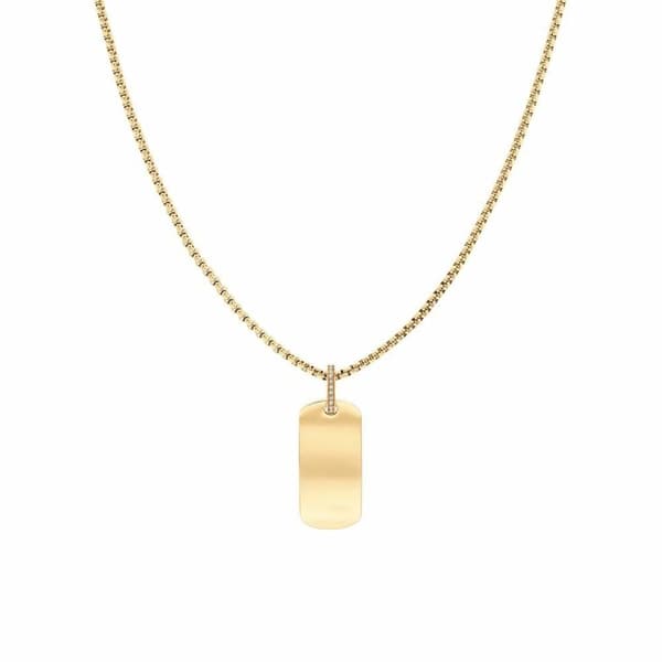 Halskjede for Kvinner Tommy Hilfiger 2780862 50 cm