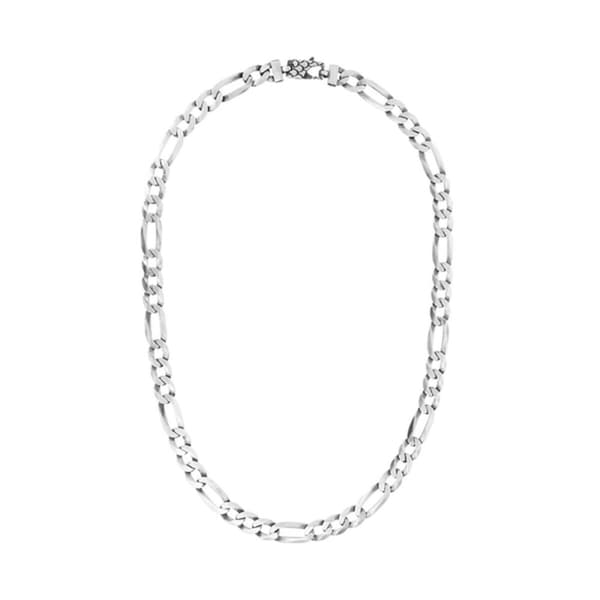 Damhalsband Albert M. WSOX00450.S